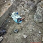 Amanda Kaline Bezerra