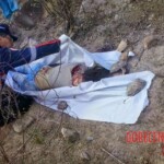 Amanda Kaline Bezerra