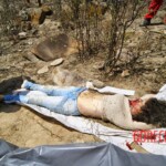 Amanda Kaline Bezerra