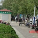 Chinese university student stabbed to death