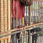 Girl impaled on railing