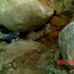 Raped and murderd girls