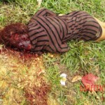 Iara Amaral de Oliveira