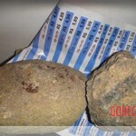 Iara Amaral de Oliveira