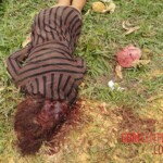 Iara Amaral de Oliveira