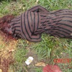 Iara Amaral de Oliveira