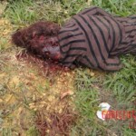 Iara Amaral de Oliveira