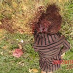 Iara Amaral de Oliveira