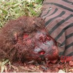 Iara Amaral de Oliveira