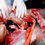 Two girls stabbed to death