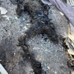 Chile wildfire victim photo