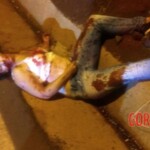 Janete Aparecida Ulbinski