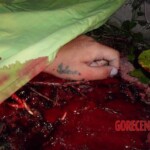 Benedita Irlene Ferreira Setúbal