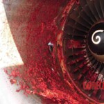 Aircraft mechanic sucked into jet engine