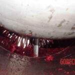 Aircraft mechanic sucked into jet engine