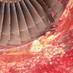 Aircraft mechanic sucked into jet engine