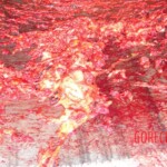 Aircraft mechanic sucked into jet engine