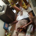 Darel Wayne Davenport Jr.