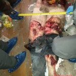 Darel Wayne Davenport Jr.