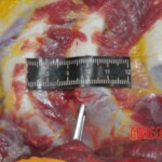 Chinese woman stabbed to death