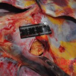 Chinese woman stabbed to death