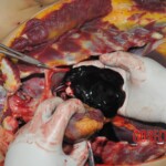 Chinese woman stabbed to death