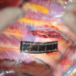 Chinese woman stabbed to death