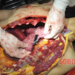 Chinese woman stabbed to death