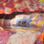 Chinese woman stabbed to death