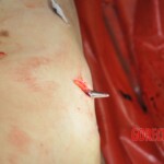 Chinese woman stabbed to death