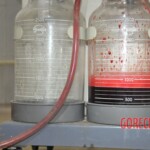 Chinese woman stabbed to death