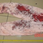 Chinese woman stabbed to death