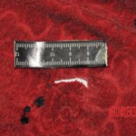 Chinese woman stabbed to death