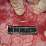 Chinese woman stabbed to death