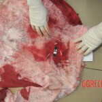 Chinese woman stabbed to death