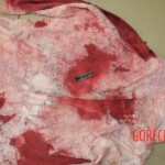 Chinese woman stabbed to death