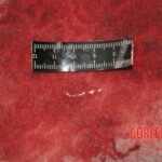 Chinese woman stabbed to death