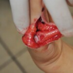 Chinese woman stabbed to death