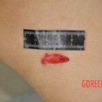 Chinese woman stabbed to death