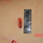 Chinese woman stabbed to death