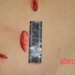 Chinese woman stabbed to death