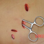 Chinese woman stabbed to death