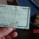 Francisca Honorato Rodrigues da Silva