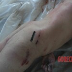 Girl murdered with axe