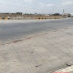 Woman crushed by truck