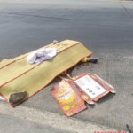 Woman crushed by truck