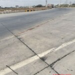 Woman crushed by truck