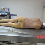 Chinese woman in morgue