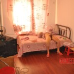 Raped and stabbed female