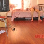 Raped and stabbed female